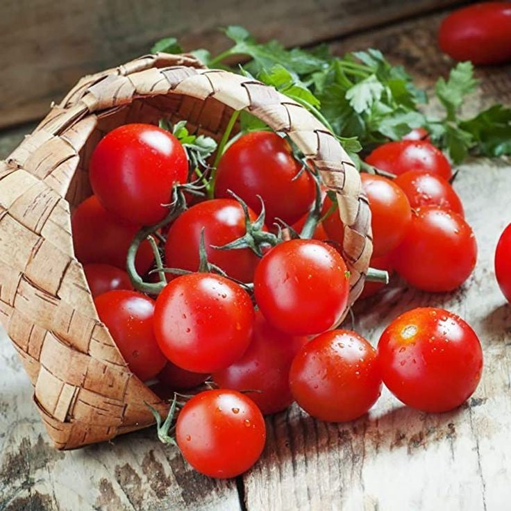 CHERRY TOMATOES 2600g (EACH)